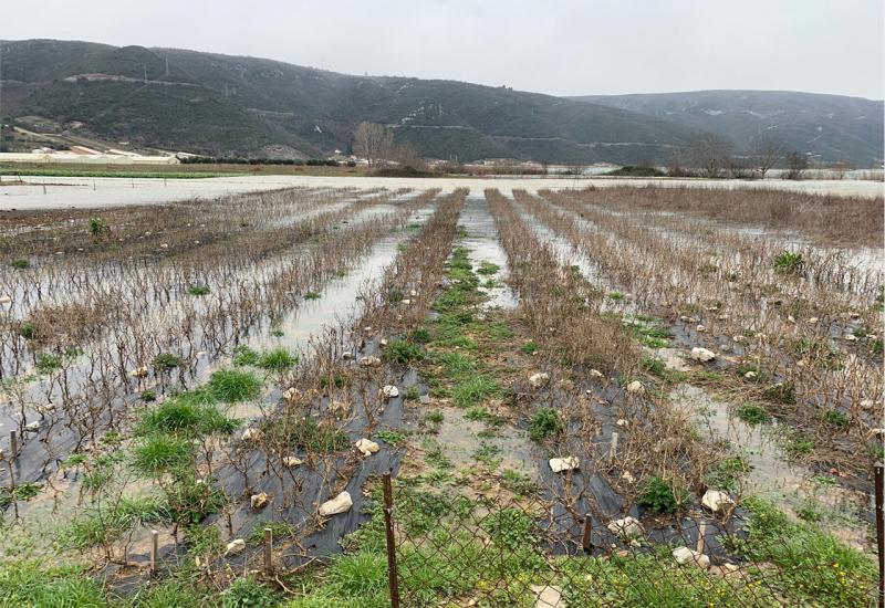 Čapljina: Poljoprivredne površine Svitave ponovno pod vodom, mještani traže pomoć 