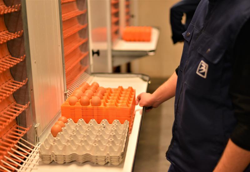 Kompanija Bingo pustila u rad najsuvremeniji repro centar i inkubatorsku stanicu za uzgoj jednodnevnih pilića u regiji