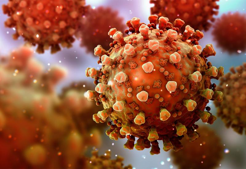 U FBiH cirkulira deset različitih genetskih linija koronavirusa, među kojima britanski i češki soj