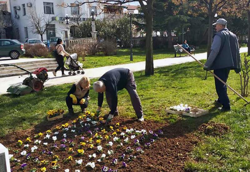 Sadnja cvijeća na Musali - Komos u Mostaru zasadio 3 tisuće sadnica cvijeća