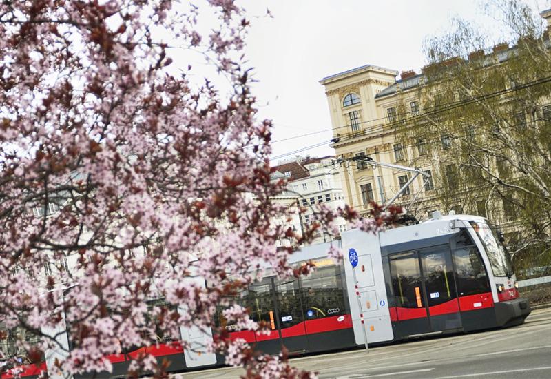 Pozitivan trend: Sve manje automobila u Beču
