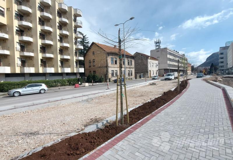 Sadnja drvoreda u Mostaru - Počela sadnja novog drvoreda u Mostaru