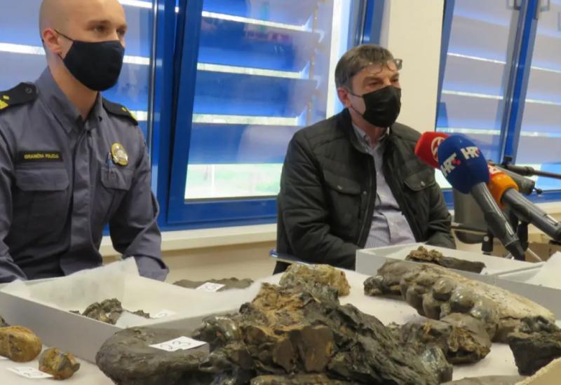 Na granici uhvatili muškarca s vrijednim fosilima praslona porijeklom iz BiH