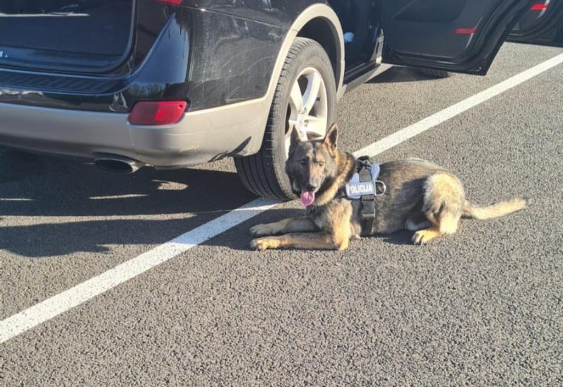 Imotski: Policijski pas Wolf pronašao više od kilogram heroina kod 69-godinjaka