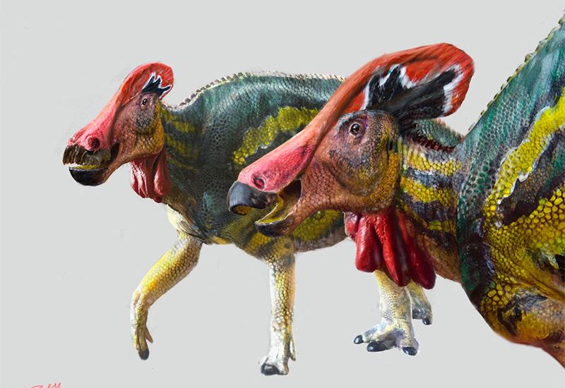 Tlatolophus galorum – zvijer stara 72 milijuna godina