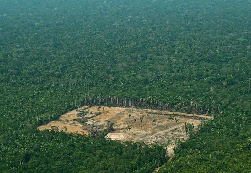 Deset nogometnih terena prašuma nestalo svake minute u 2021.