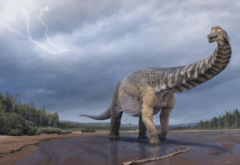 Zajednički ljudski predak hodao je s dinosaurima