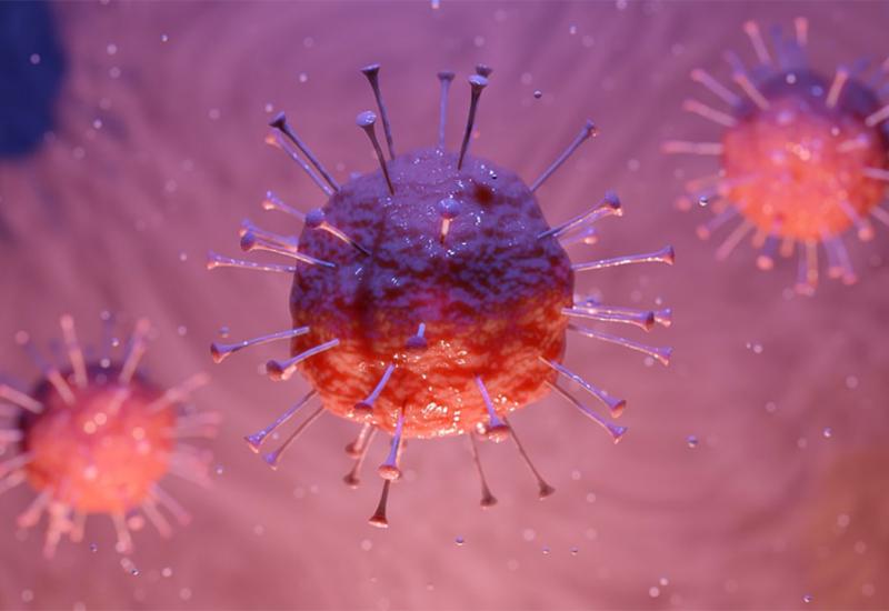Iznenađujuće otkriće: Epidemija koronavirusa harala je istočnom Azijom i prije 20.000 godina