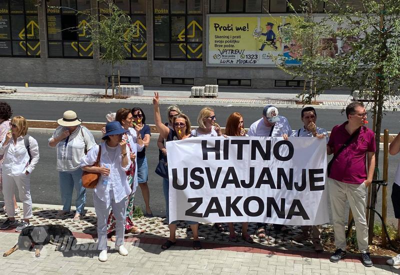 Doktori medicine i stomatologije FBiH prosvjeduju pred zgradom federalne Vlade u Mostaru. - Prosvjed pred Vladom u Mostaru