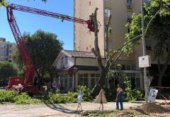 Mostar: Još jedno stablo na krivom mjestu u krivo vrijeme