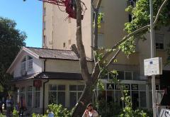 Mostar: Još jedno stablo na krivom mjestu u krivo vrijeme