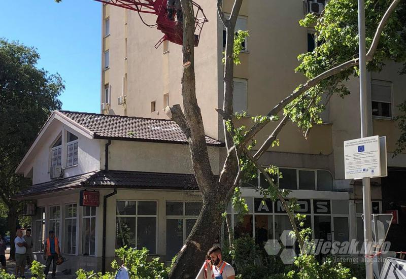 Još jedno stablo na krivom mjestu u krivo vrijeme - Grad od kojeg bi Mostar trebao učiti
