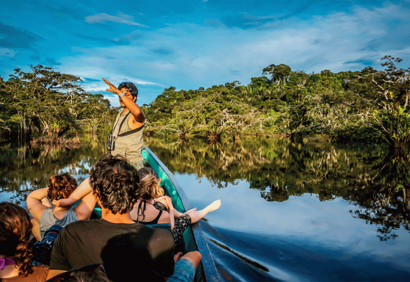 Amazonija: Više od 10.000 vrsta biljaka i životinja prijeti izumiranje