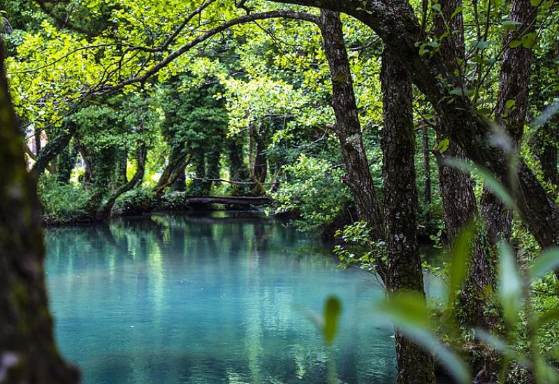 Šuma Janj bi se mogla naći na UNESCO-ovoj listi