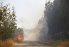 Veliki požar u Bačevićima, u opasnosti bile i kuće