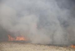 Veliki požar u Bačevićima, u opasnosti bile i kuće