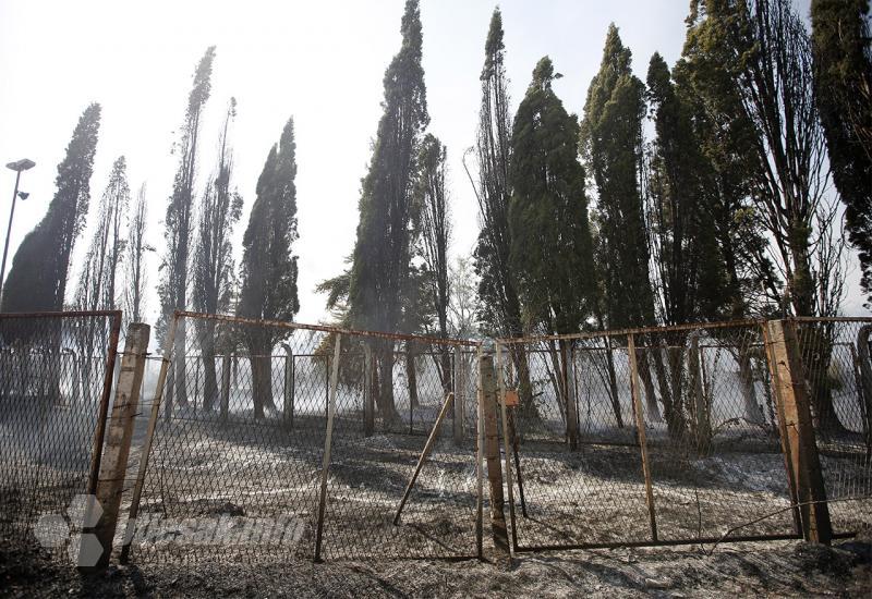 Spaljena zemlja nakon velikog požara u Bačevićima - Požar u Rodoču stavljen pod kontrolu