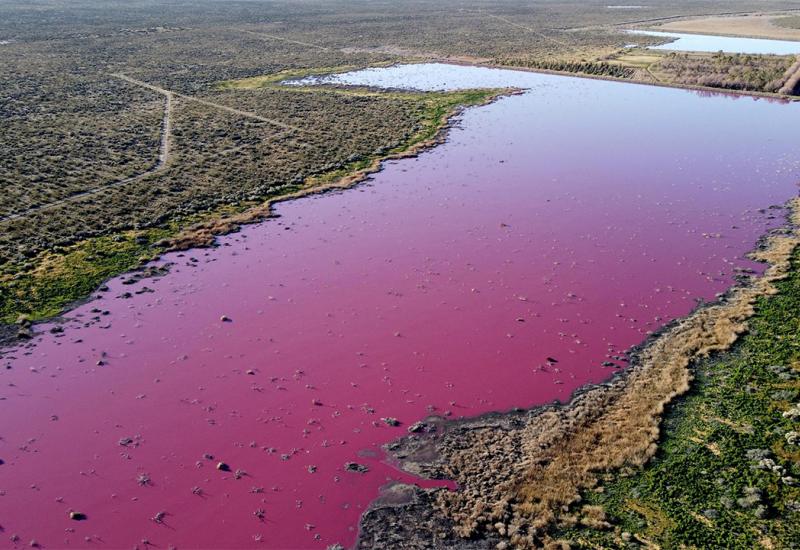 Ekolozi zabrinuti: Jezera misteriozno postala ružičasta