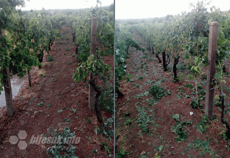Jako nevrijeme pričinilo značajnu štetu vinogradarima u Čulama