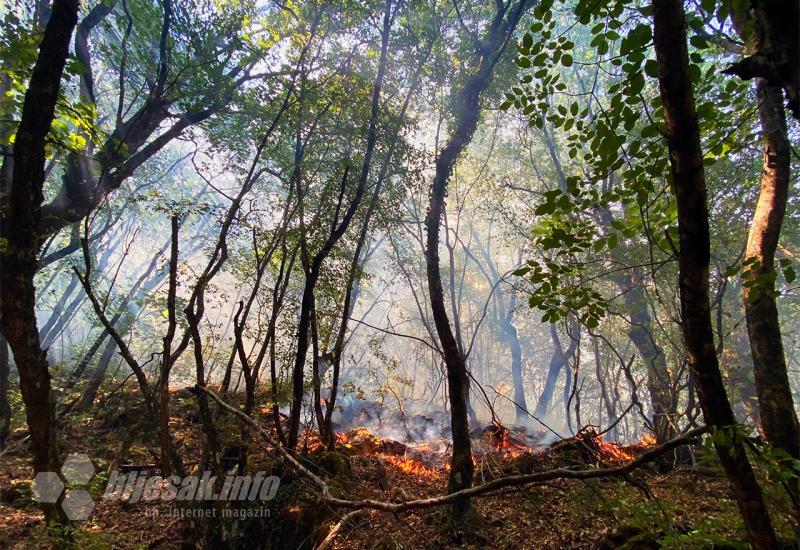 Petnaest požara u posljednja 24 sata u HNŽ