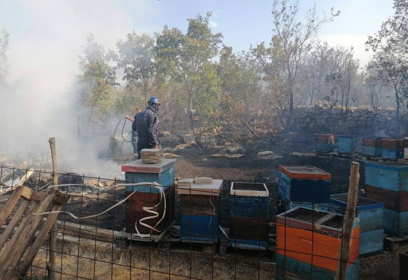 U požaru uništeni pčelinjak u Neumu - Apel za spas pčelarstva
