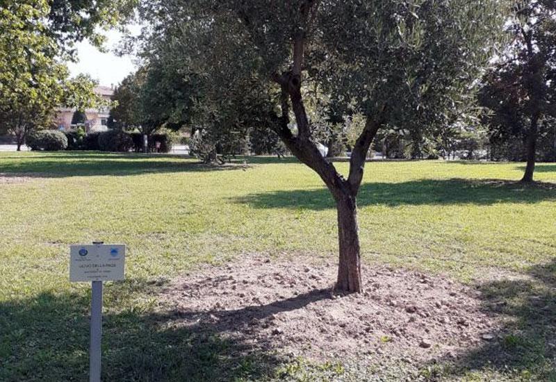 Maslina mira u Parku Mostar - Kordić u Italiji nazočio otvaranju 