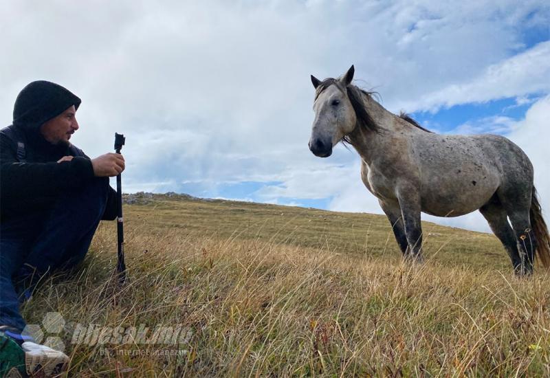 Odmjeravanje između Ivana i vođe krda - Livno kruzi turizam foto safari divlji konji cincar Continental Adventure ViaDinarica