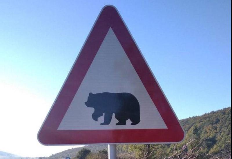 'Medvjed na cesti – vozači oprez' je novi prometni znak u BiH