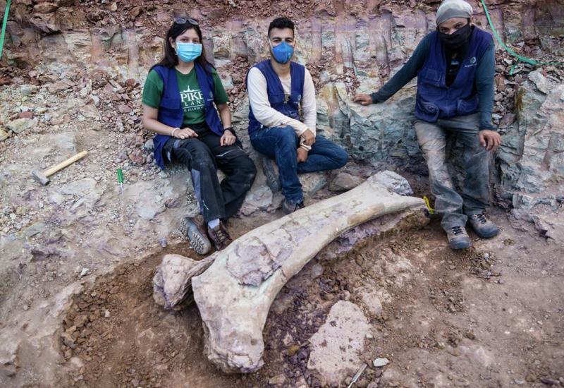 Otkriveni ostaci rijetke vrste dinosaura