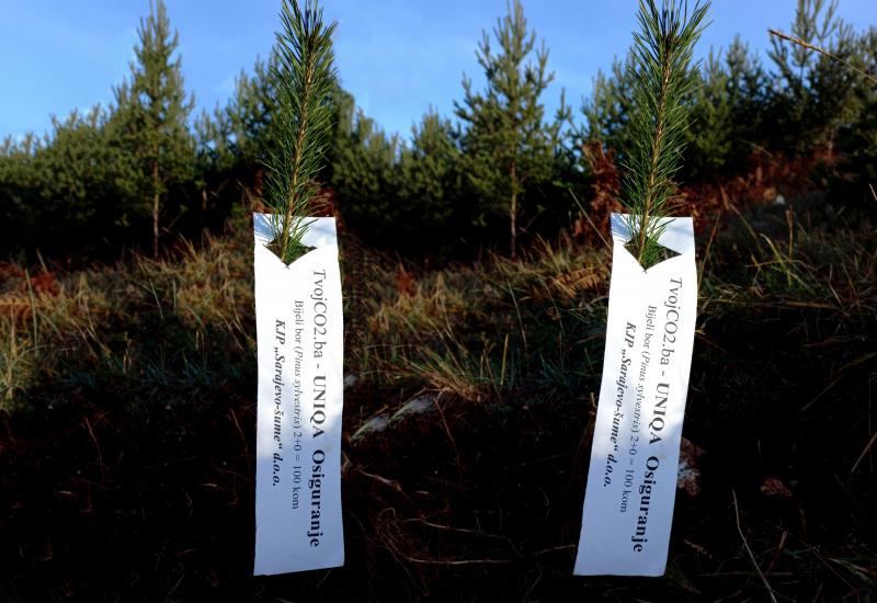 UNIQA Osiguranje sadnjom 500 stabala podržalo projekt ''Tvoj CO2''