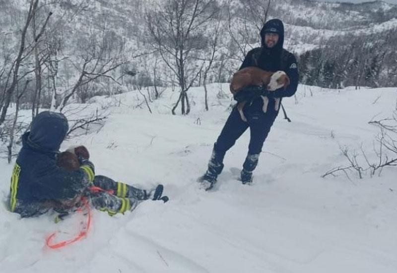 Spašeni lovački psi - Livno: Vatrogasci pronašli i spasili lovačke pse na Dinari