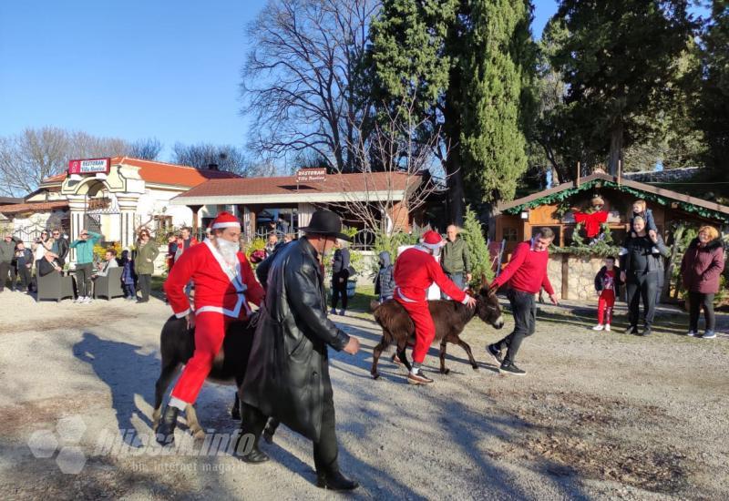Utrka magaraca u Čapljini - blagdanski događaj koji postaje tradicija