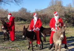 Josip Šimović i magarac Eustahije pobjednici božićne utrke magaraca