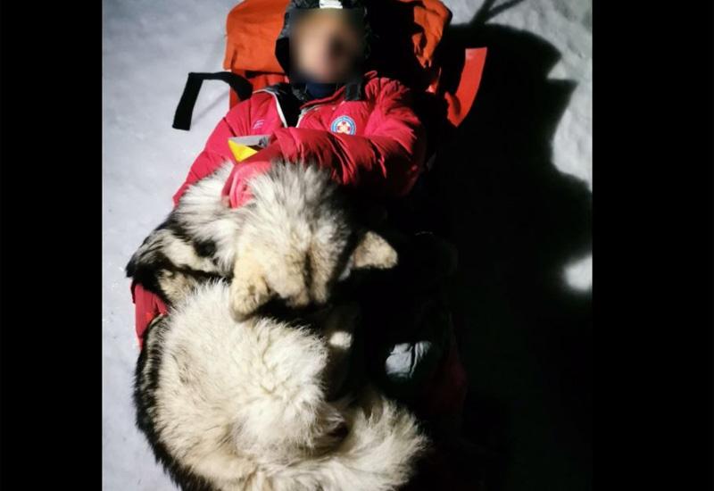 North grije vlasnika - Stradalog planinara na Velebitu pas grijao tijelom i čuvao 13 sati