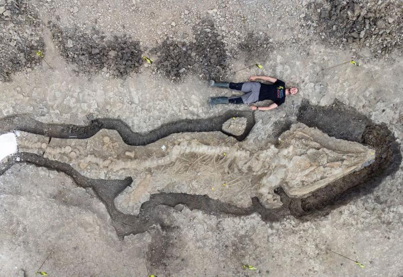 Pronađen fosil deset metara dugačkog morskog grabežljivca