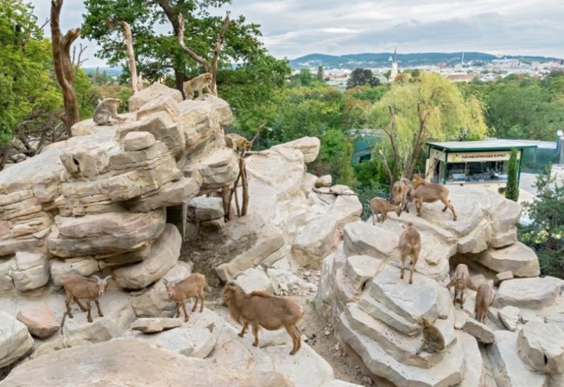 Tiergarten Schönbrunn ponovno najbolji zoološki vrt u Europi 