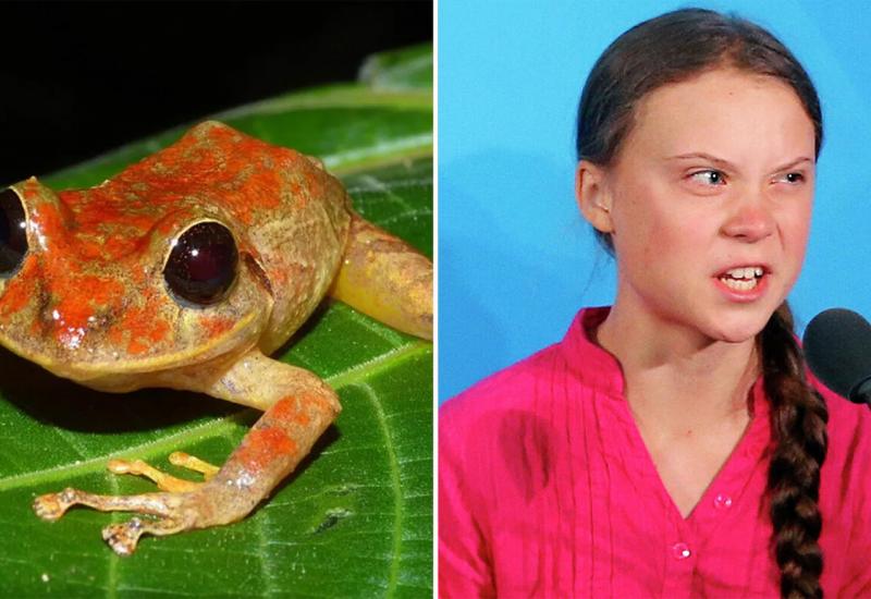 Novootkrivenoj žabi dali ime najpoznatije svjetske aktivistice