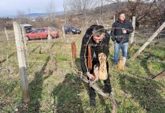 Na Buni nastavljena tradicija slavljenja blagdana sv. Vinka zaštitnika vinara i vinogradara