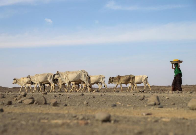 Suša prijeti milijunima | Foto: Svjetski program za hranu UN - Ljudi bježe od suše