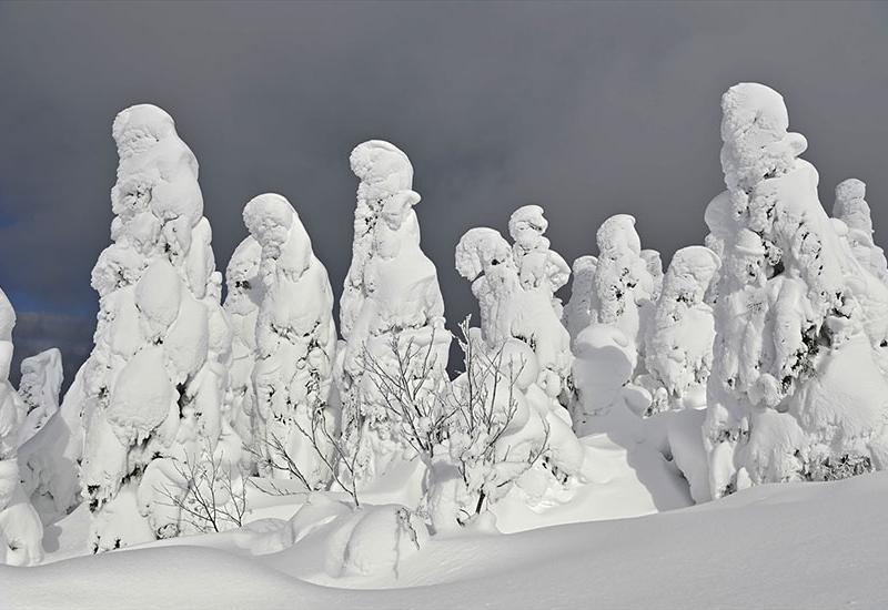 Snježna čudovišta na planini Zao