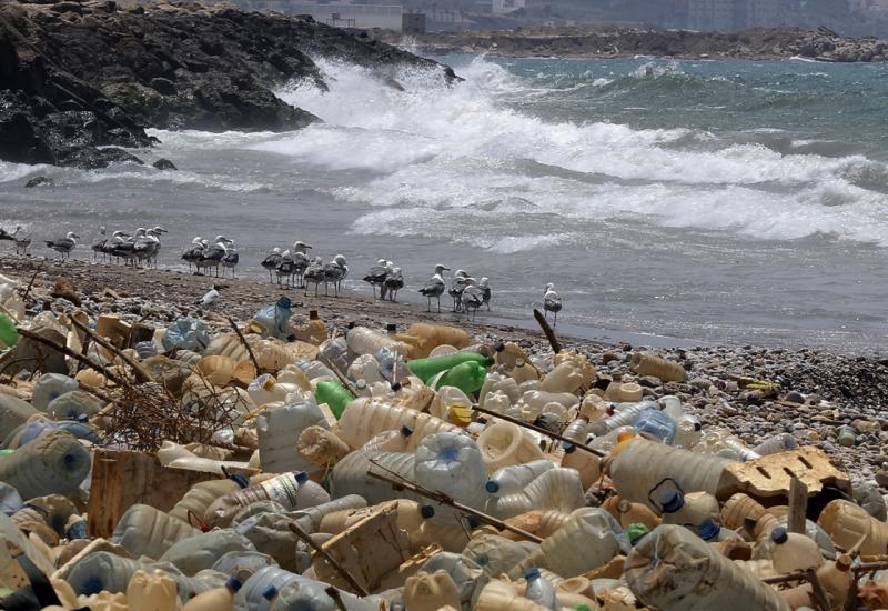 Težina plastike na Zemlji četiri puta veća od biomase svih živih sisavaca