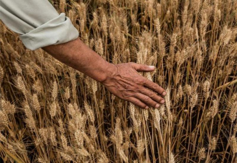 Još nije određen datum za izvoz žita iz Ukrajine