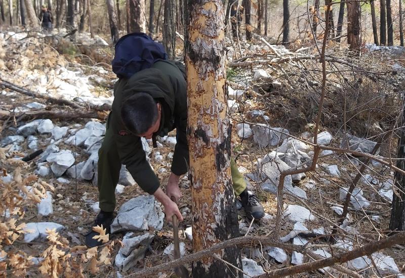 Sanacija požarišta na više lokaliteta u Općini Čitluk - Sanacija požarišta na području Općine Čitluk