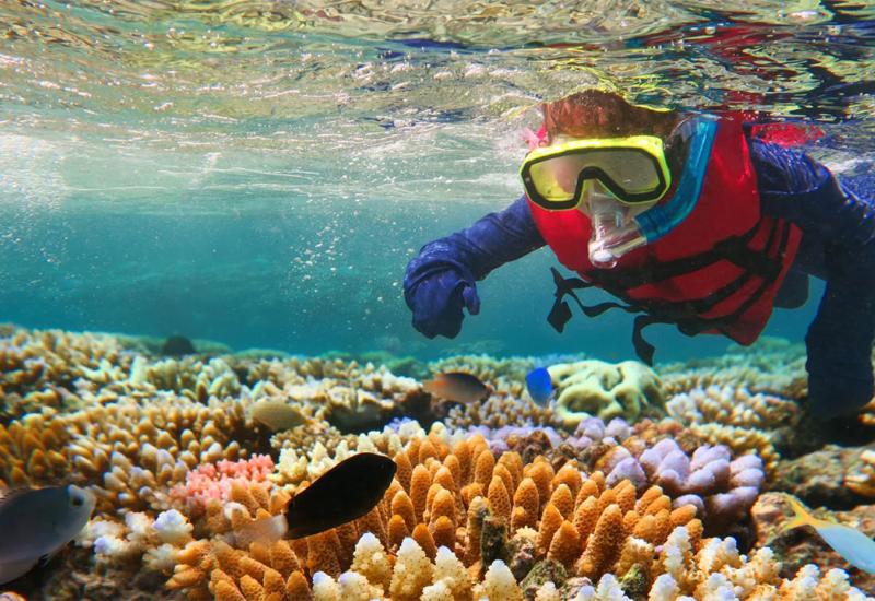 Zatopljenje oceana prijeti češćim izbjeljivanjem Velikog koraljnog grebena