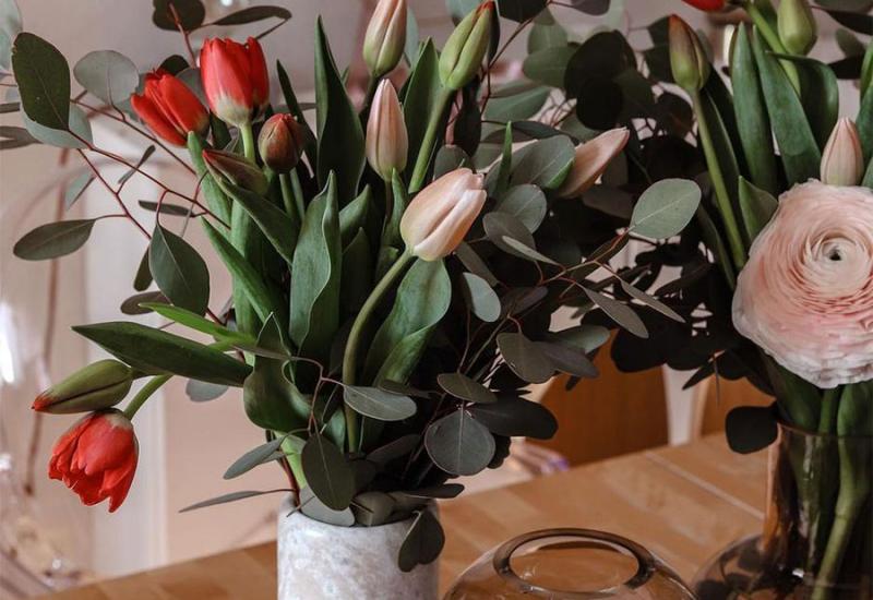 Kako pravilno održavati tulipane u vazi - Kako pravilno održavati tulipane u vazi
