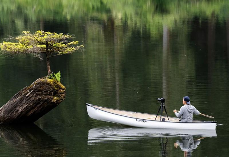 Bonsai godinama privlači fotografe koji su poželjeli ovjekovječiti izdržljivost drveta - Čudo prirode: Drvo koje je preživjelo unatoč svemu