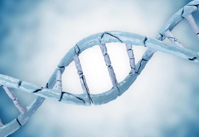 Objavljen prvi čitavi ljudski genom
