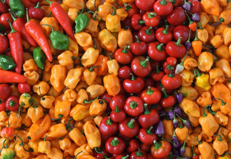 Evo što sve trebate znati o vrstama paprika 