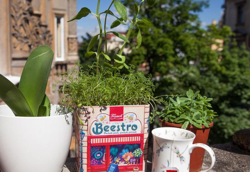 Osvježite svoj balkon ili terasu Franck Beestro posudom s cvijećem i osigurajte hranu desecima pčela