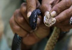 33 godine živi sa zmijama